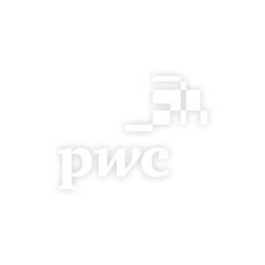 PwC Business Logo